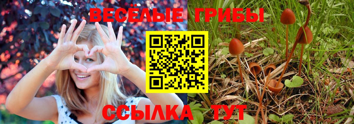 Нарткала  где купить наркотик  Вход с VPN  Галлюциногенные грибы мухоморы 