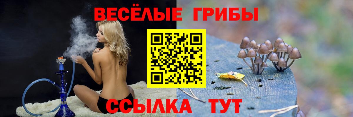 Галлюциногенные грибы MAGIC MUSHROOMS Нарткала